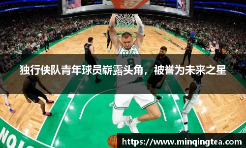 独行侠队青年球员崭露头角，被誉为未来之星