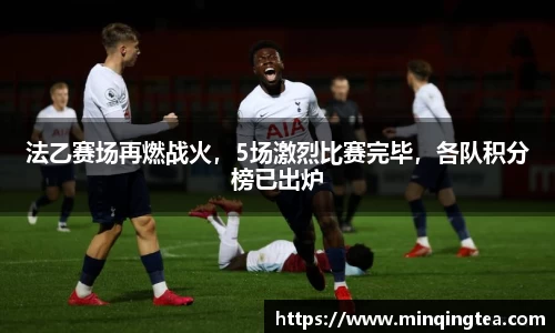 法乙赛场再燃战火，5场激烈比赛完毕，各队积分榜已出炉