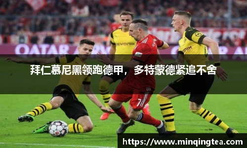 拜仁慕尼黑领跑德甲，多特蒙德紧追不舍