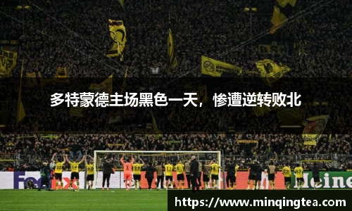 雷竞技raybet官网