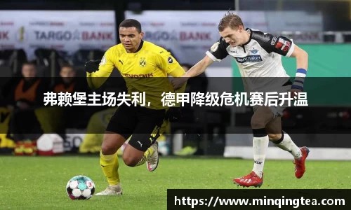 弗赖堡主场失利，德甲降级危机赛后升温