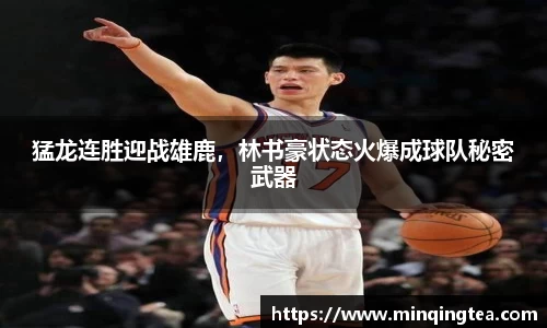 猛龙连胜迎战雄鹿，林书豪状态火爆成球队秘密武器