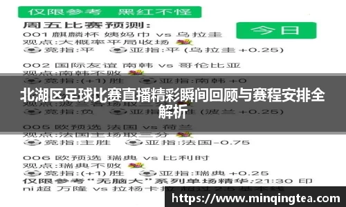 北湖区足球比赛直播精彩瞬间回顾与赛程安排全解析