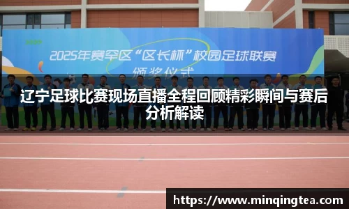 辽宁足球比赛现场直播全程回顾精彩瞬间与赛后分析解读