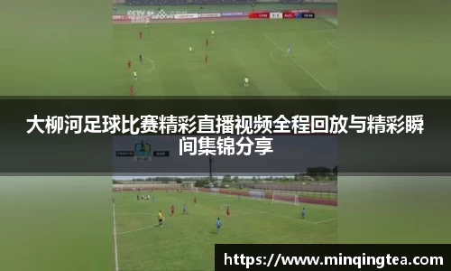 雷竞技raybet官网