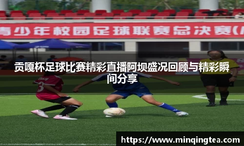 贡嘎杯足球比赛精彩直播阿坝盛况回顾与精彩瞬间分享