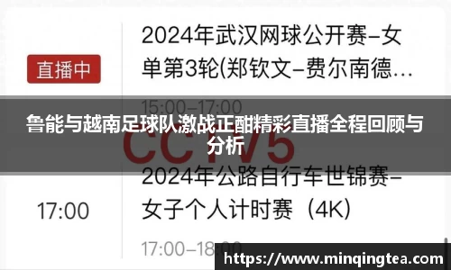 鲁能与越南足球队激战正酣精彩直播全程回顾与分析