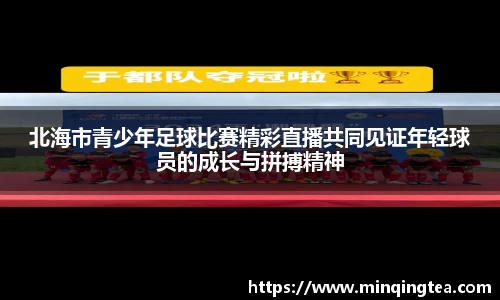 北海市青少年足球比赛精彩直播共同见证年轻球员的成长与拼搏精神