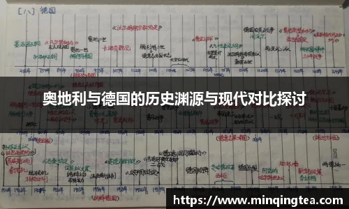 RAYBET雷竞技
