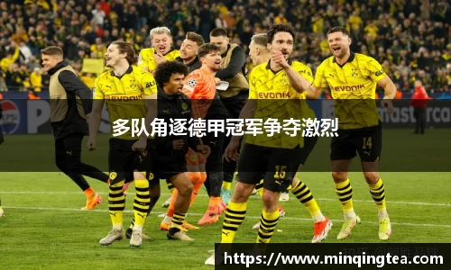 雷竞技raybet官网